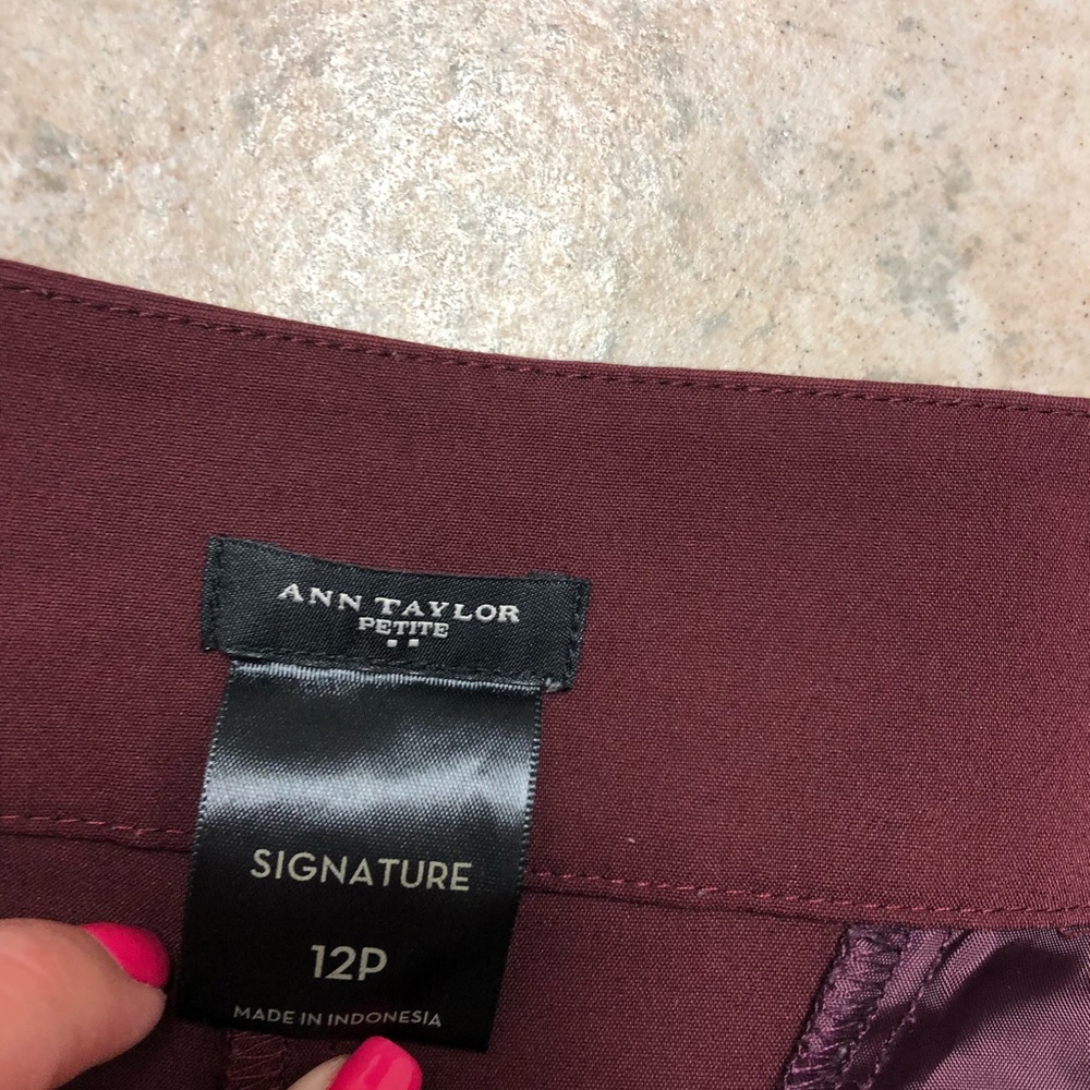 Burgundy Ann Taylor 12P
